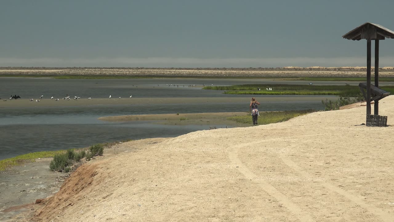 Woman walking beside shallow wetland water under an overcast sky.