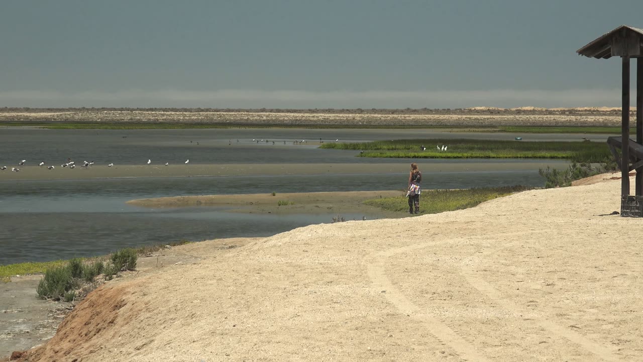 Wide Guerrero Negro frame with the sandy path sloping toward shallow water, the woman near the marsh edge, a line of white birds across the wetland, and the roofed structure partly cropped at far right.