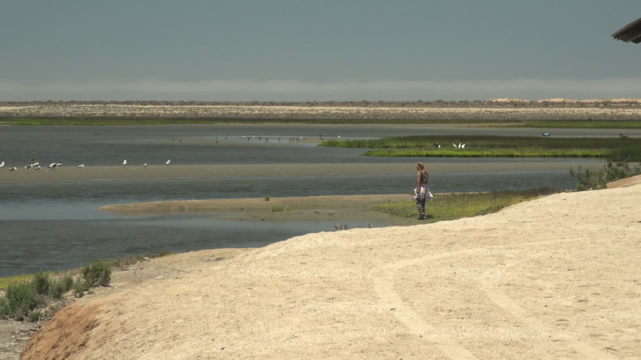 Woman on sandy shore looking across wetland water and birds.