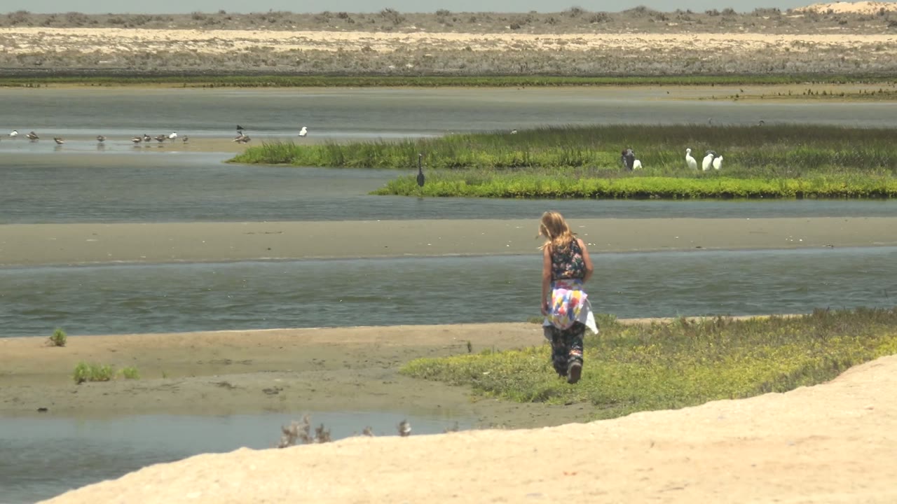 At 0:00 in Guerrero Negro, a girl walks away along a low marsh shore with shallow water, green vegetation, pale sand, and distant birds behind her.