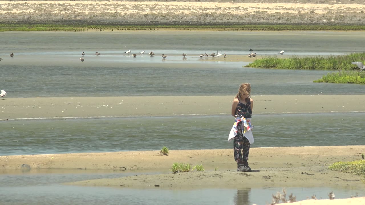 At 0:00 in Guerrero Negro, Mexico, a child stands on a sandy shore while scattered waterfowl move across shallow water beyond the sandbar.