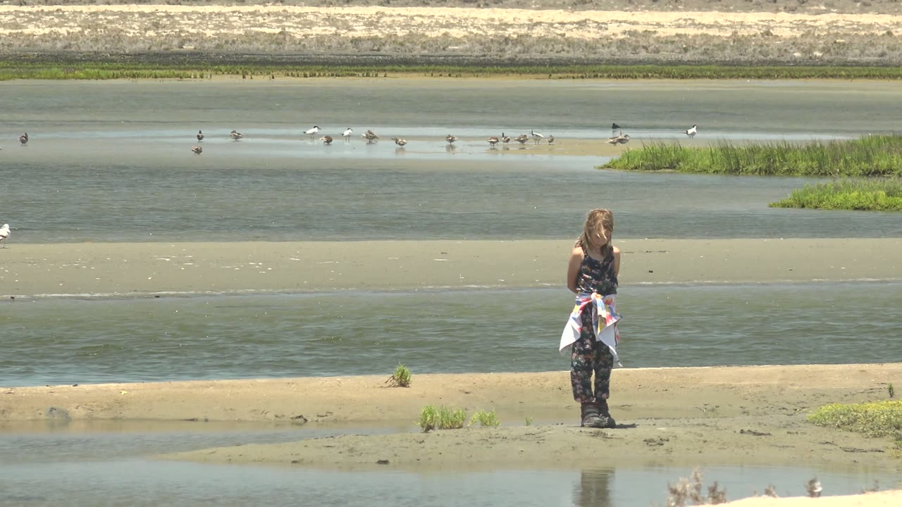 Child on wetland sandbar with birds spread across shallow water.