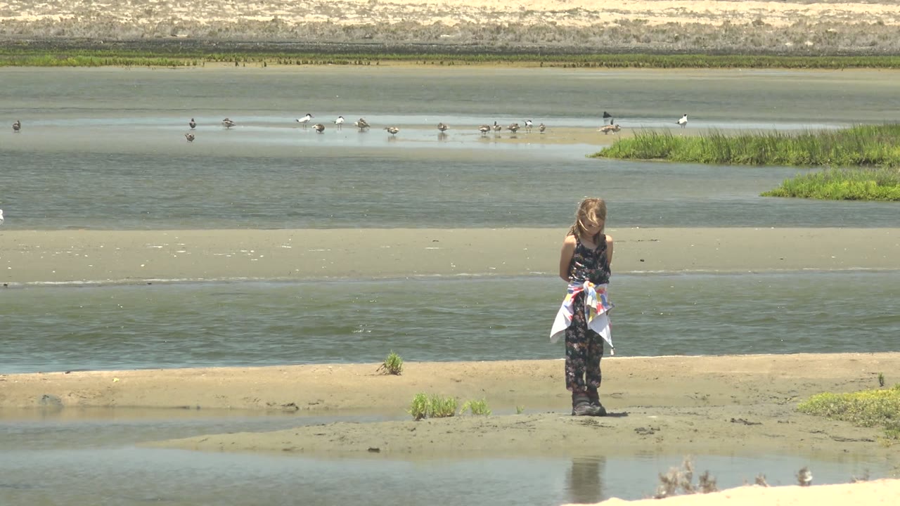 At 0:02 in Guerrero Negro, Mexico, the child stands farther right in the frame, with low wet sand in front and a line of birds visible across the water behind.
