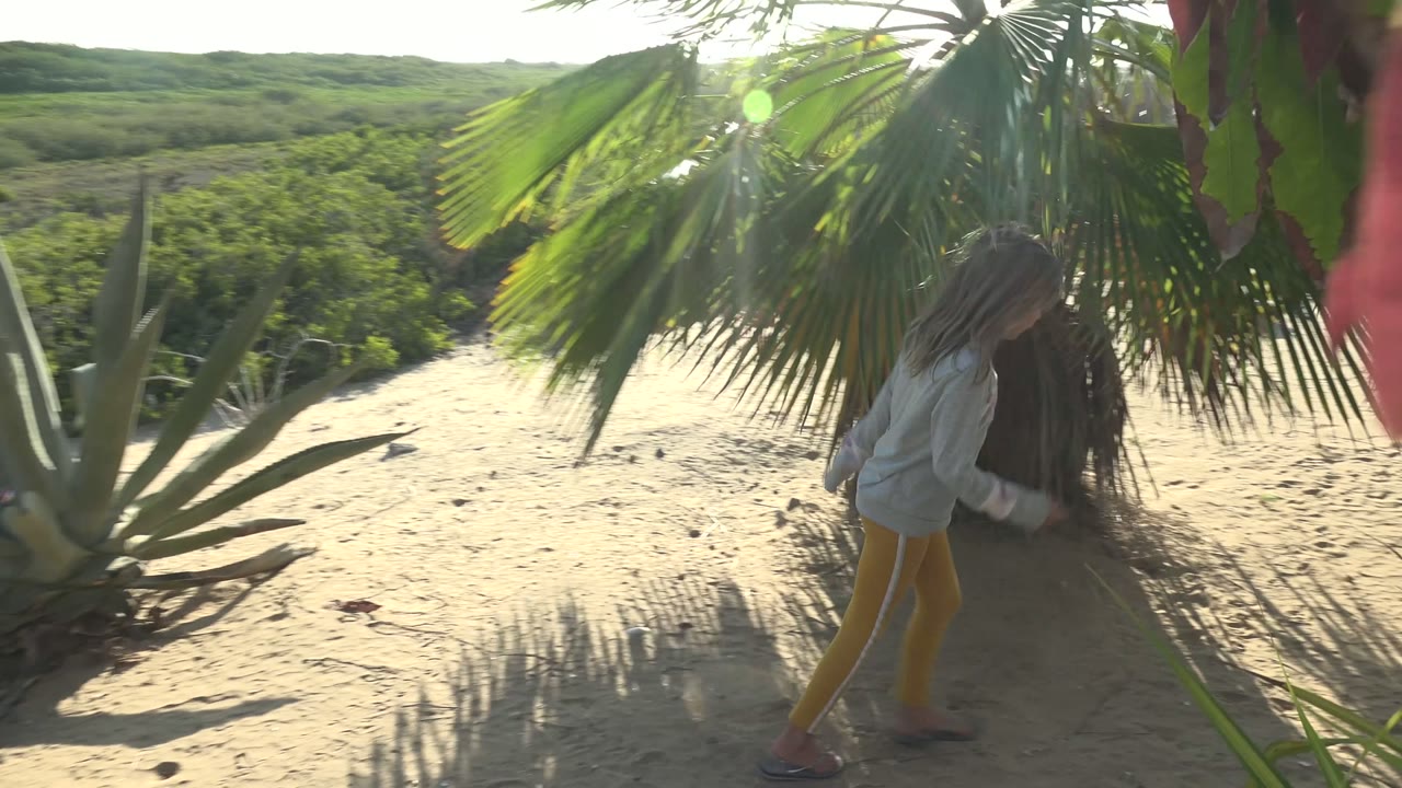 The child continues through the sandy garden under broad palm fronds in San Carlos, Mexico, with sharp shadows falling across the ground.
