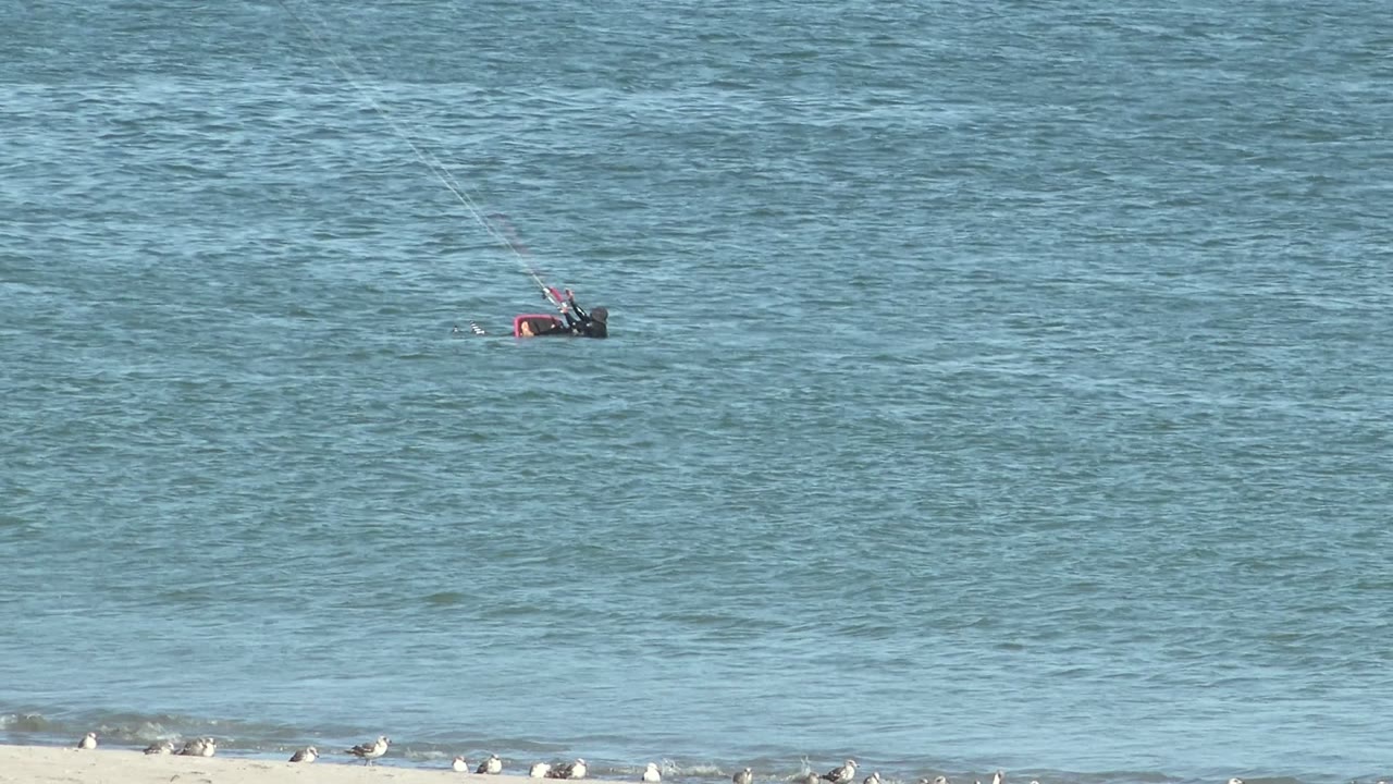 A distant kite surfer rides in San Juanico, Mexico while a narrow beach strip with seagulls appears behind the waterline.