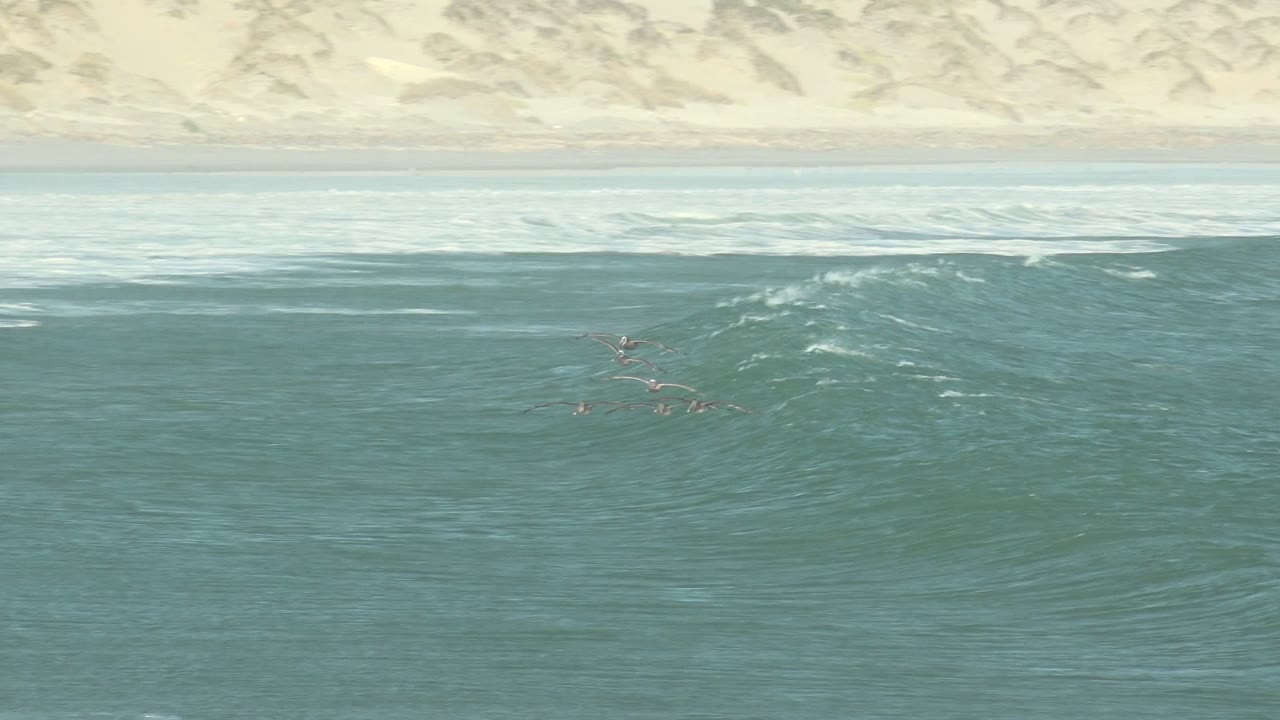 Seabirds skim over uneven blue-green swells at La Bocana while pale dunes remain visible across the horizon, with no visible people in frame.