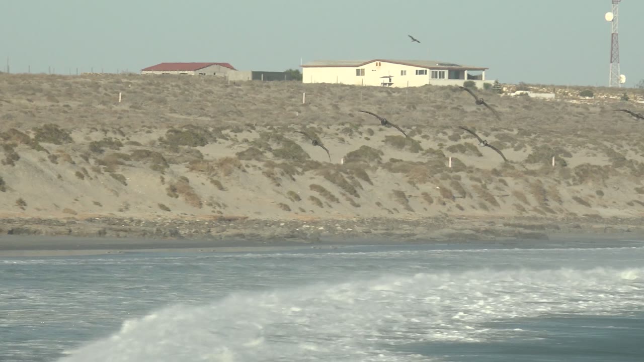 Seabirds fly across teal ocean water below pale cliffs with houses and a tower in La Bocana, Baja California Sur, with no visible people.