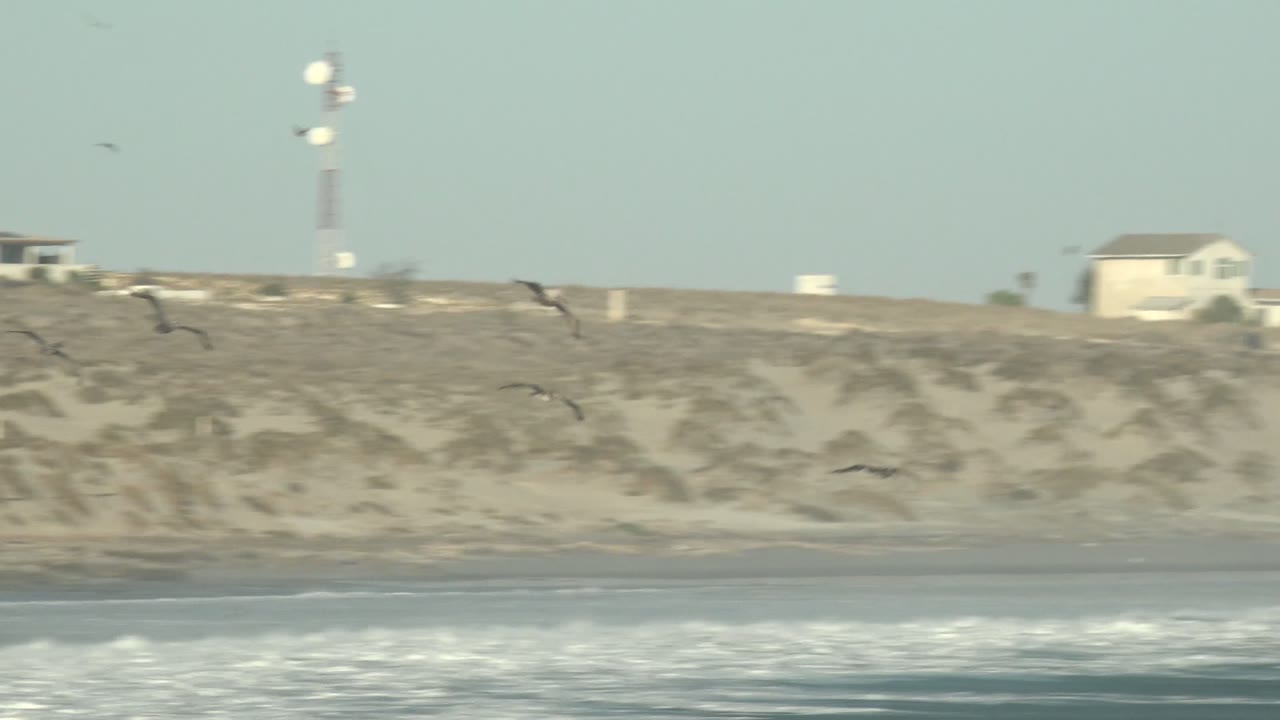 Distant birds crossing ocean in front of sandy cliffs.
