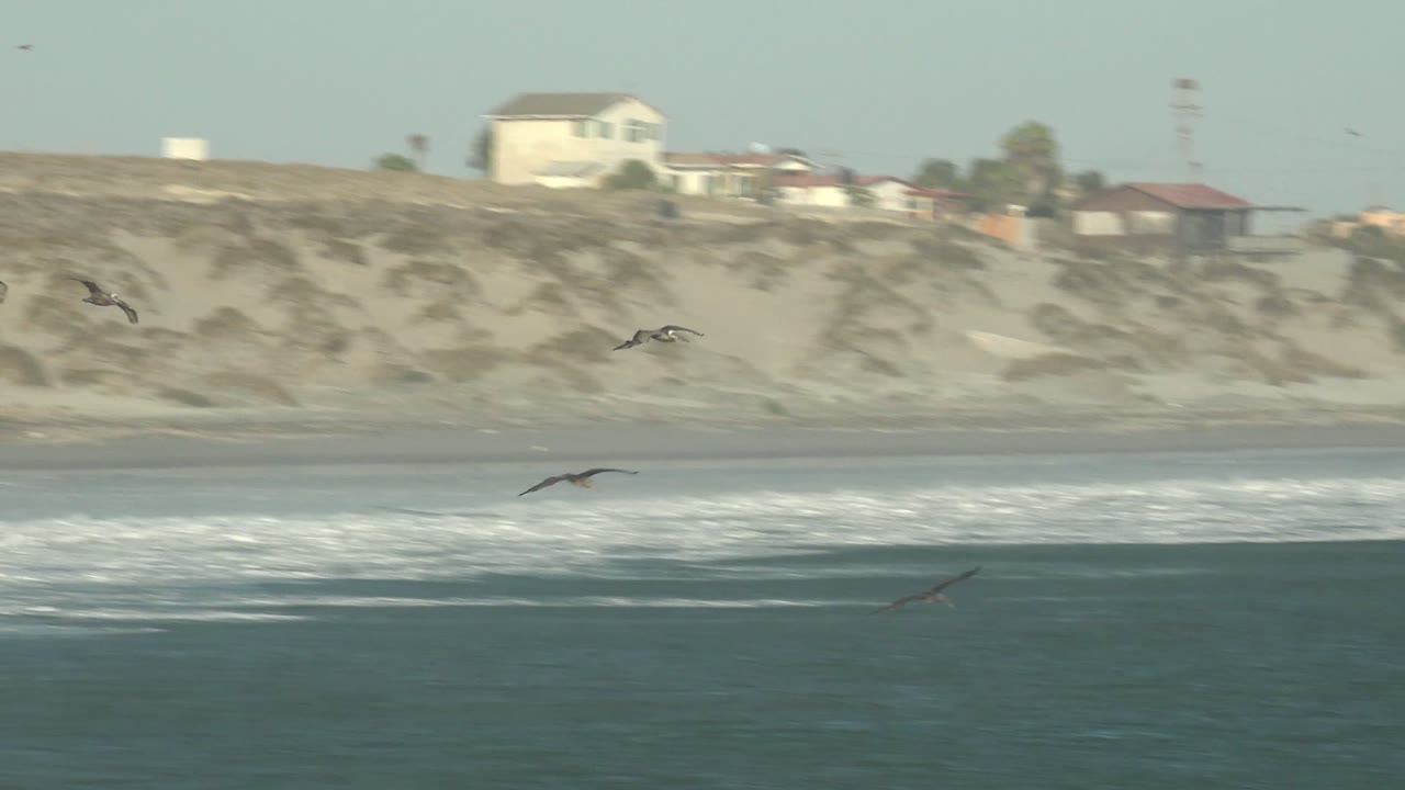 A wider spread of seabirds appears over textured teal water while pale dunes and cliff faces run across the background in La Bocana, with no visible people.