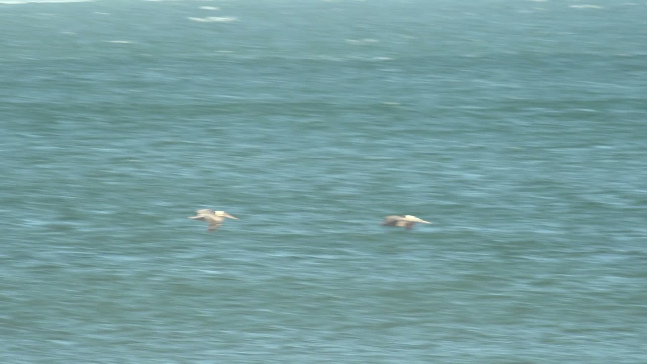 Two pelicans fly near the left side of the frame over rippled ocean water in La Bocana, Baja California Sur, with no visible people.