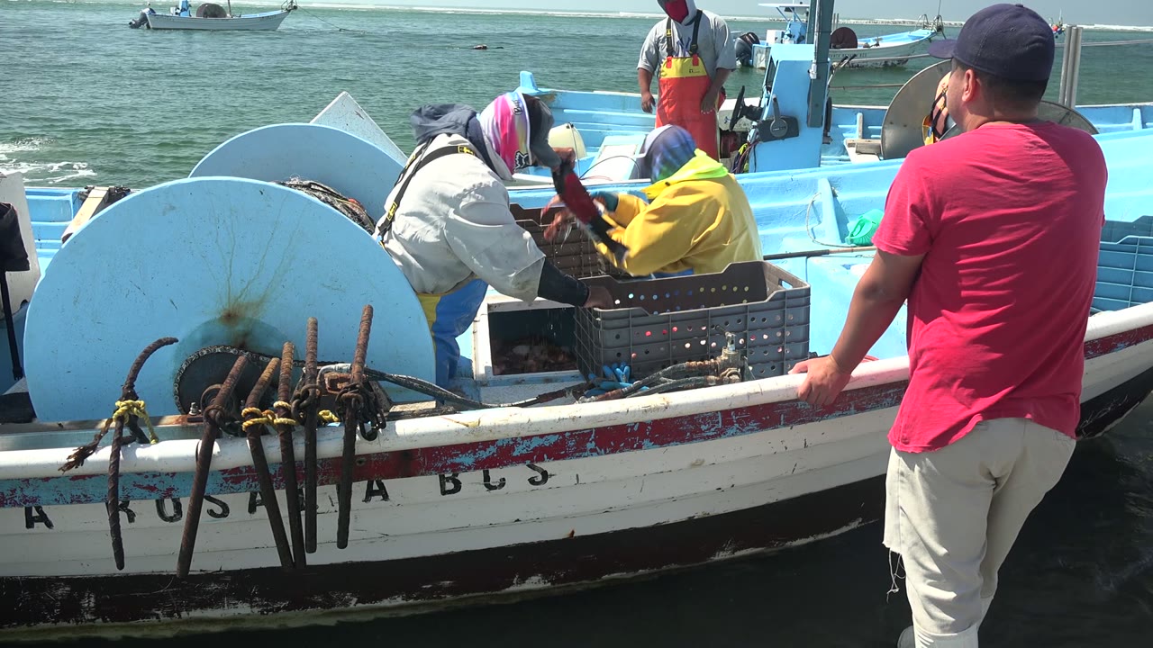 At 0:00 in La Bocana, Baja California Sur, fishermen in yellow and white jackets work over a crate inside a small blue and white boat while a man in a red shirt stands at the rail.
