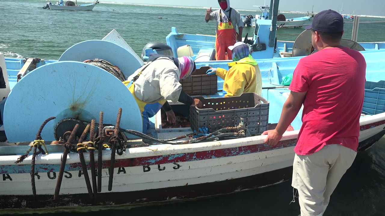 Small fishing boat with workers leaning toward a crate of catch.