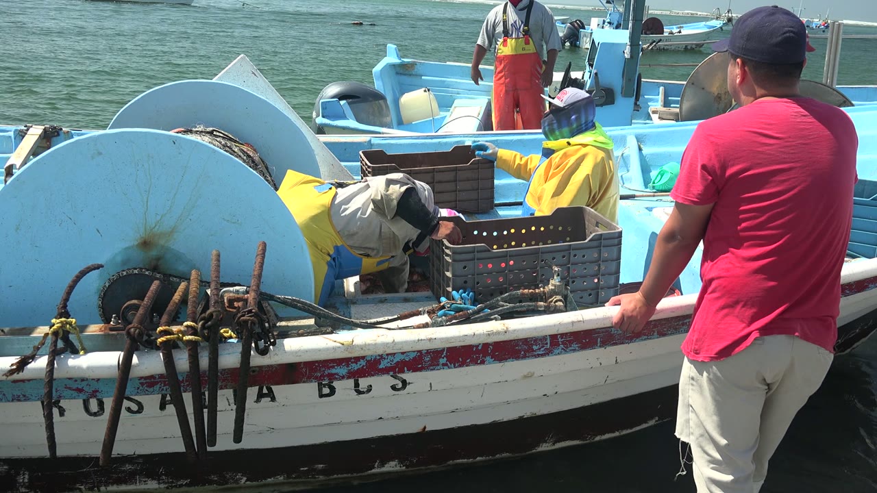 At 0:02 in La Bocana, two workers bend low over the crate inside the blue boat while the red-shirted observer remains at the right edge and sunlit water fills the background.