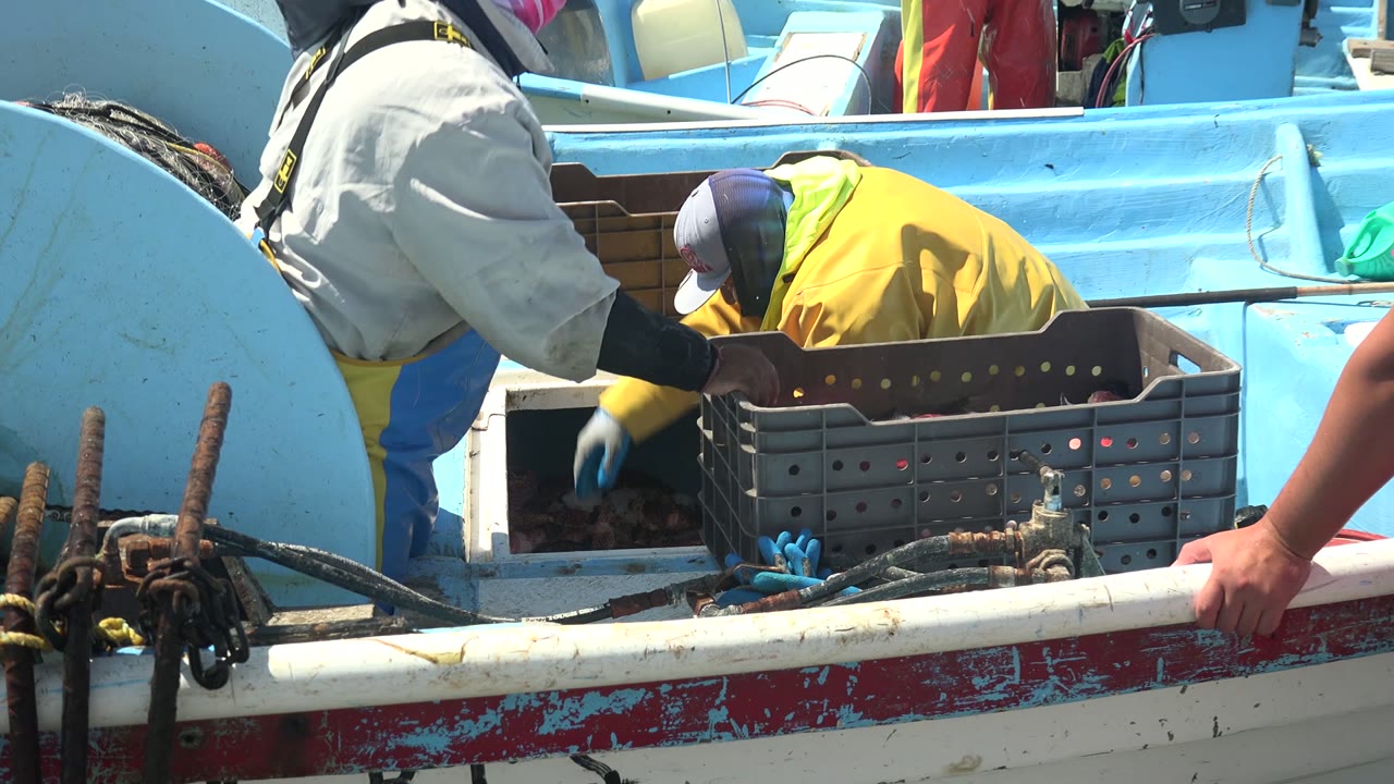 At 0:00 in La Bocana, Baja California Sur, two cropped fishermen in rain gear work beside a gray crate on a blue boat deck with hoses and rails in the foreground.