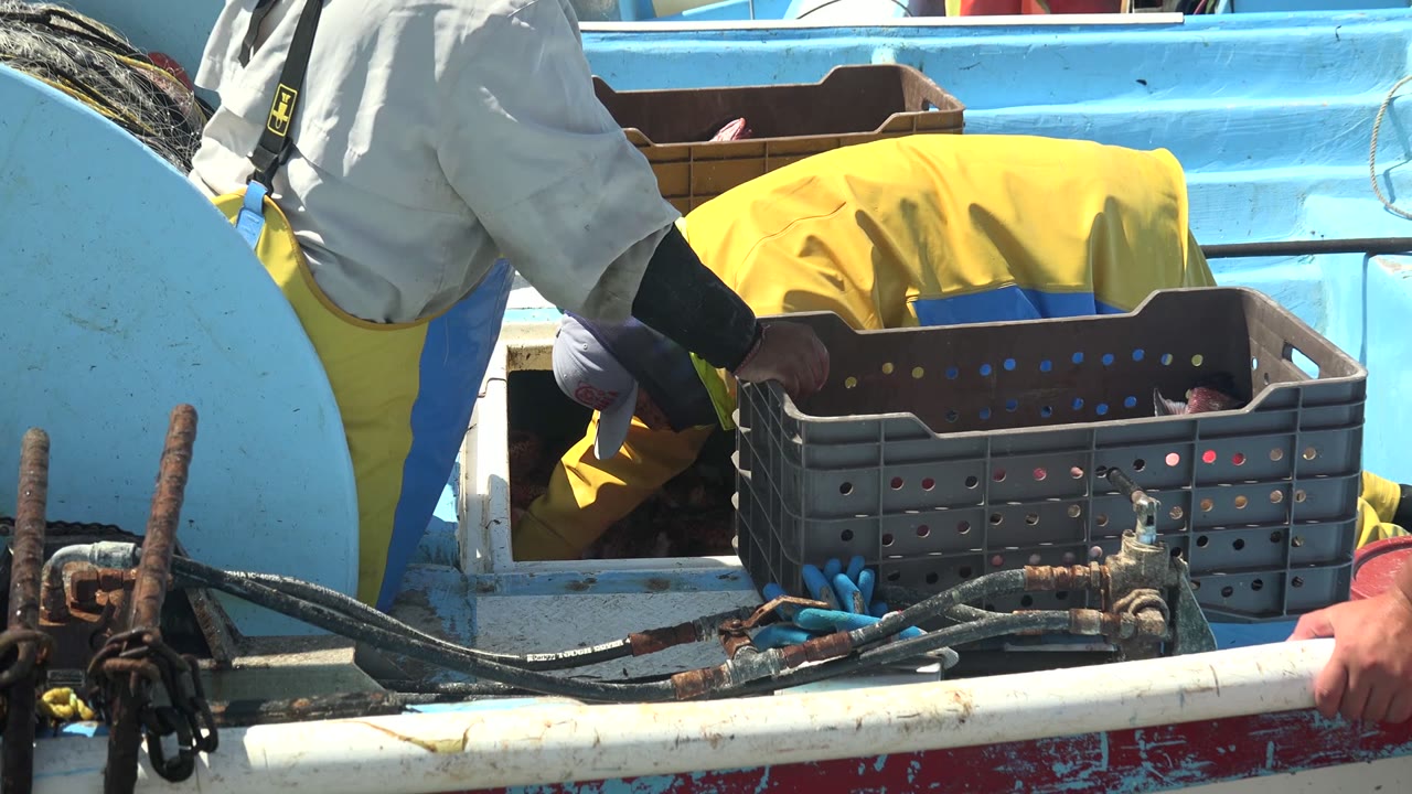A fisherman bends into a boat hold beside a seafood crate.