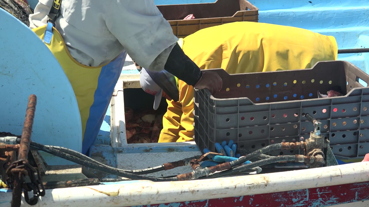 At 0:02 in La Bocana, Baja California Sur, a gray crate sits across the open hold as cropped fishermen continue handling seafood on the sunlit blue boat.