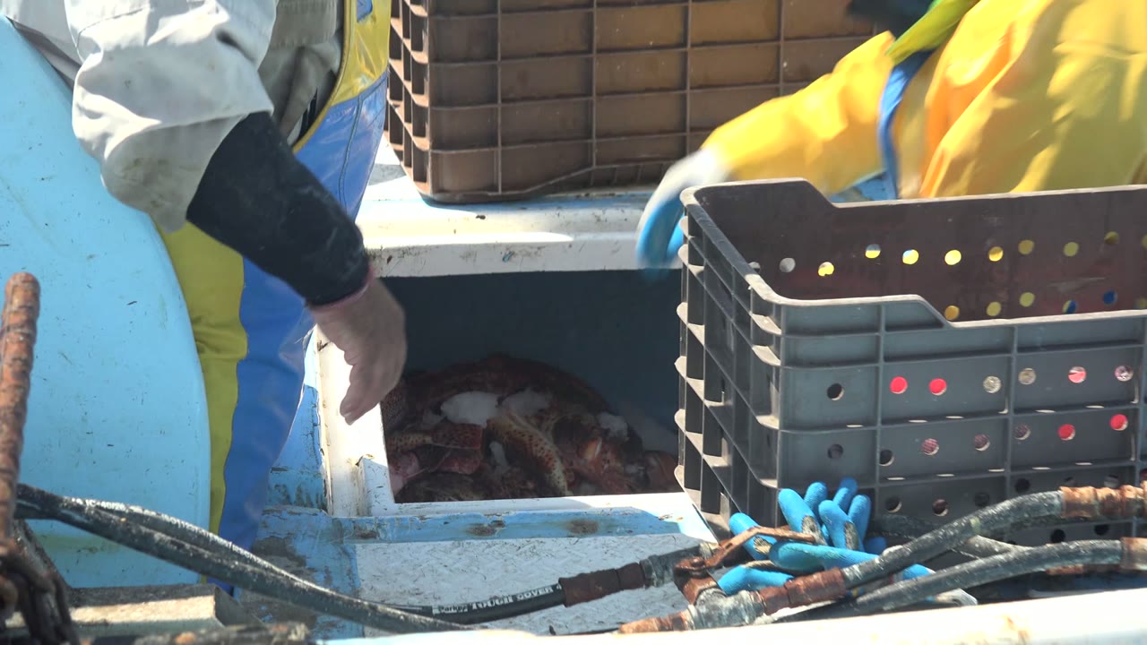 At 0:02 in La Bocana, Baja California Sur, a worker in yellow and blue clothing stands beside a dark crate while the seafood hold remains open on the blue deck.