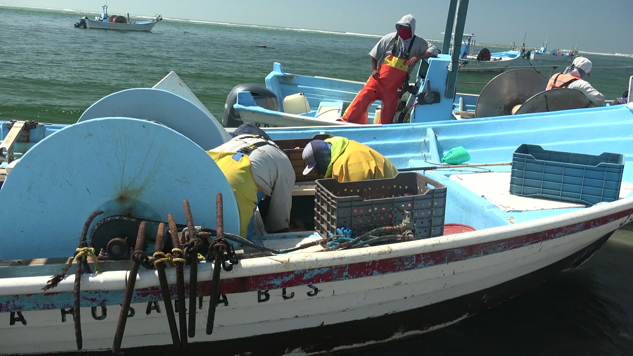 At 0:00 in La Bocana, Baja California Sur, crew members work aboard a blue and white fishing boat with crates and rusted gear in the foreground and small boats on the water behind them.