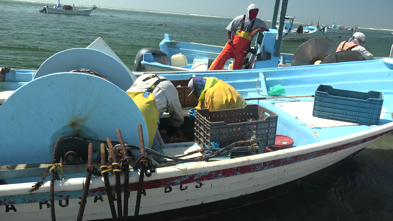 At 0:00 in La Bocana, Baja California Sur, fishermen work on a blue and white boat while ropes hang over the foreground and another boat sits on the water behind them.