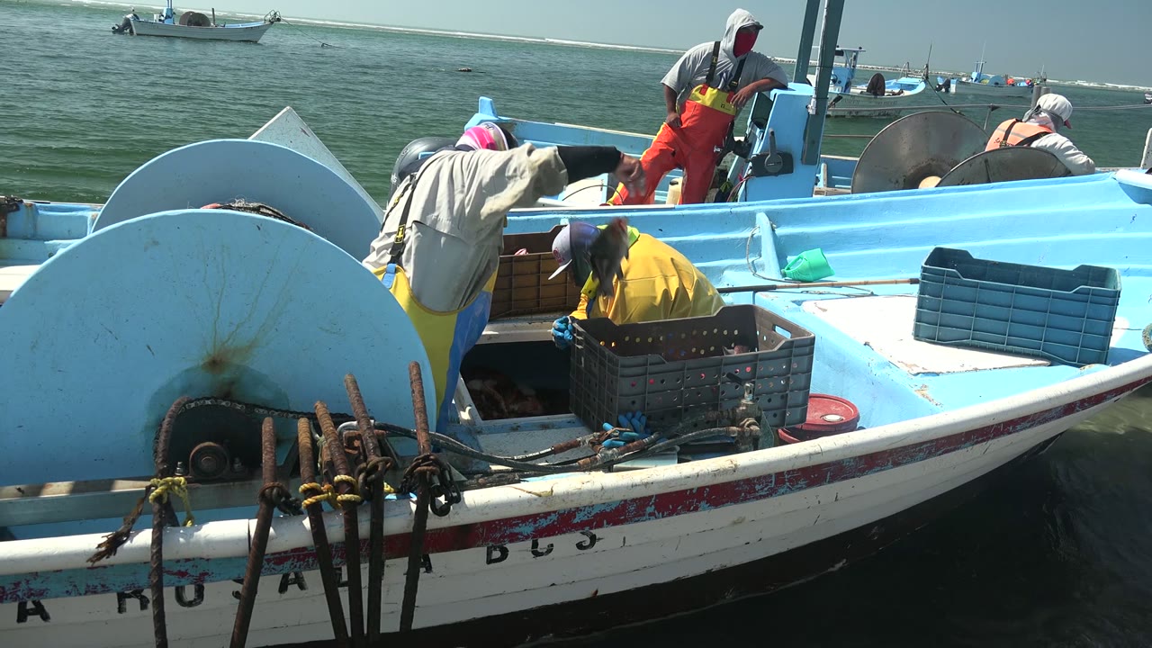 Small fishing boat with workers leaning into crates and a standing person in red pants.