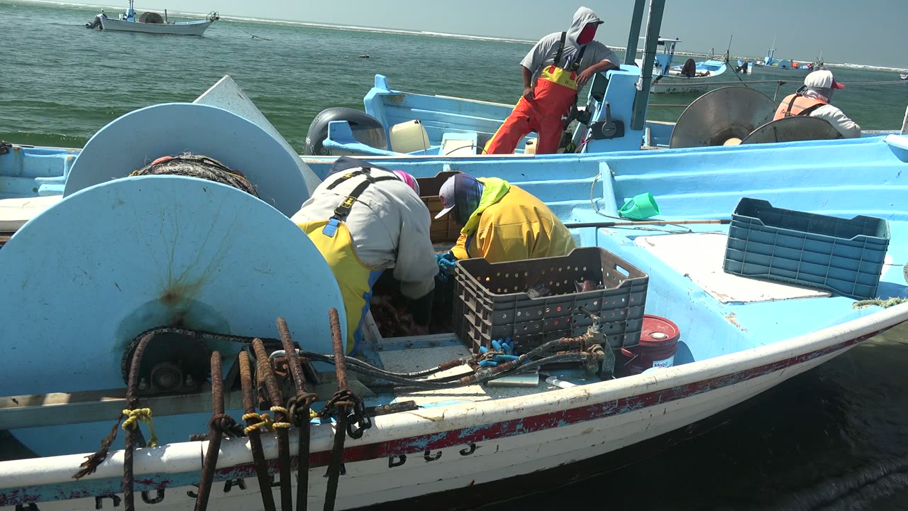 At 0:02 in La Bocana, Baja California Sur, the same boat fills the frame as two workers lean over the deck and a blue crate sits on the white side rail.