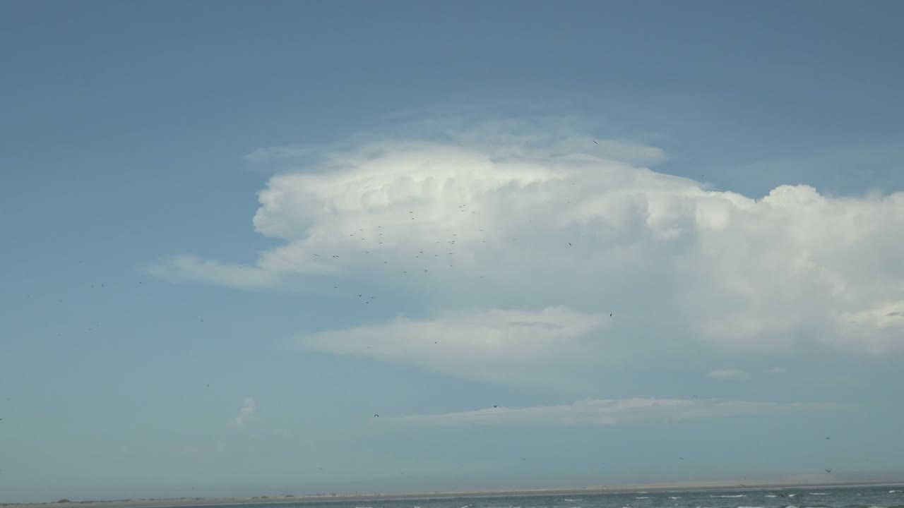 La Bocana beach in Baja California Sur with shell-strewn sand, distant low waves, a large white cloud over blue sky, small birds near the horizon, and no visible people.