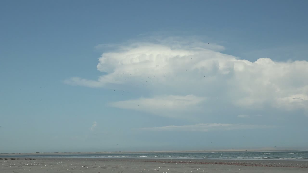 Wide sandy shore with shells, low surf, blue sky, and large cloud