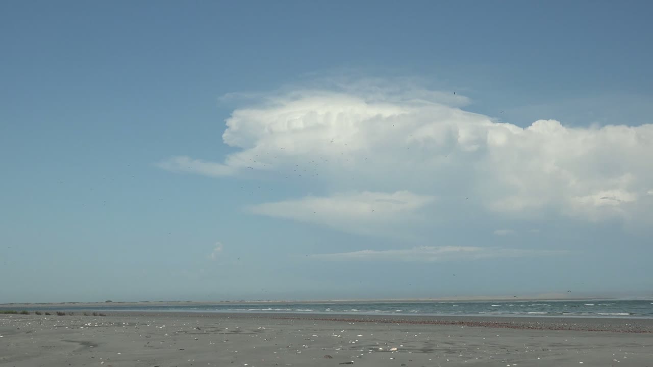 La Bocana beach view with a shell-dotted foreground, thin ocean surf in the distance, a pale blue sky, a bright white cloud bank, and no visible people.