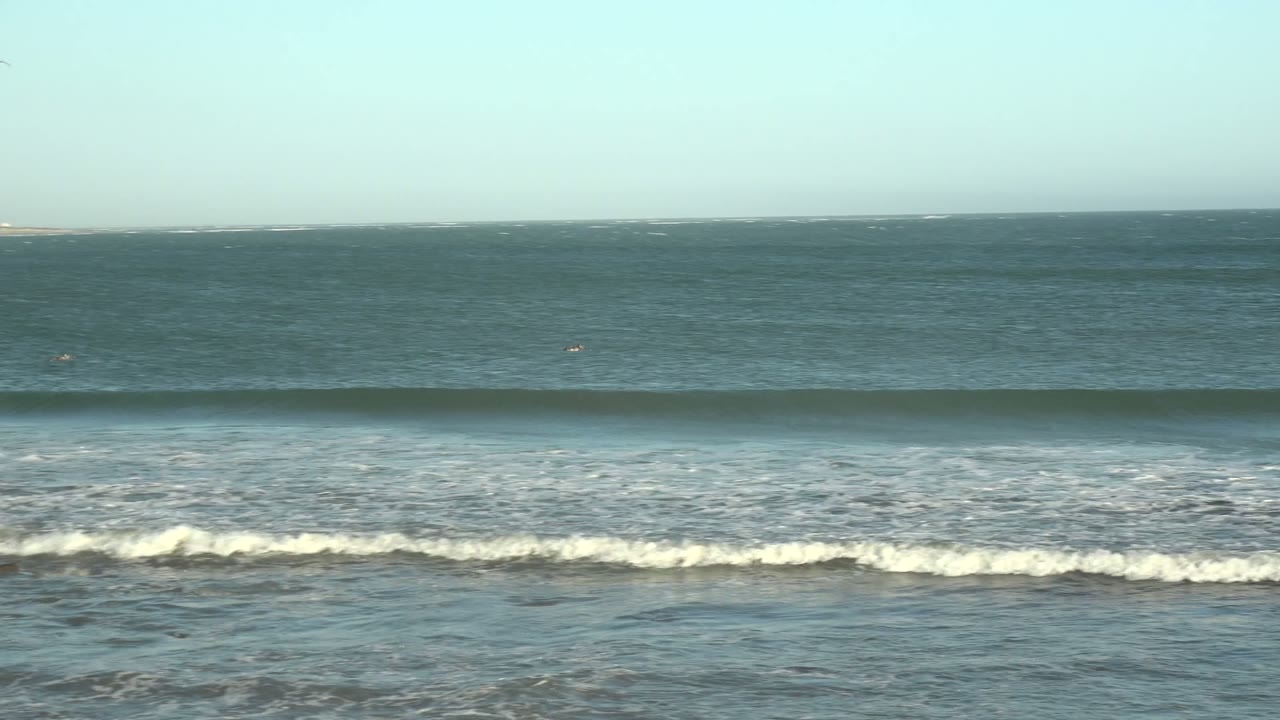 Surf line with open ocean and distant bird