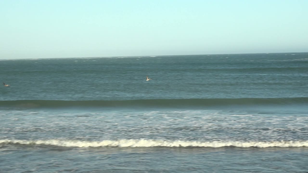 A seagull crosses above the blue-green ocean at La Bocana, Baja California Sur, while low waves form white foam below and no visible people are identifiable.