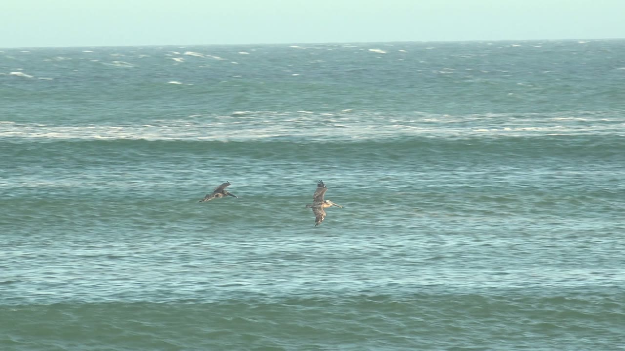 Pelicans fly low across blue-green surf in La Bocana, Baja California Sur, with whitecaps on the horizon and no visible people.