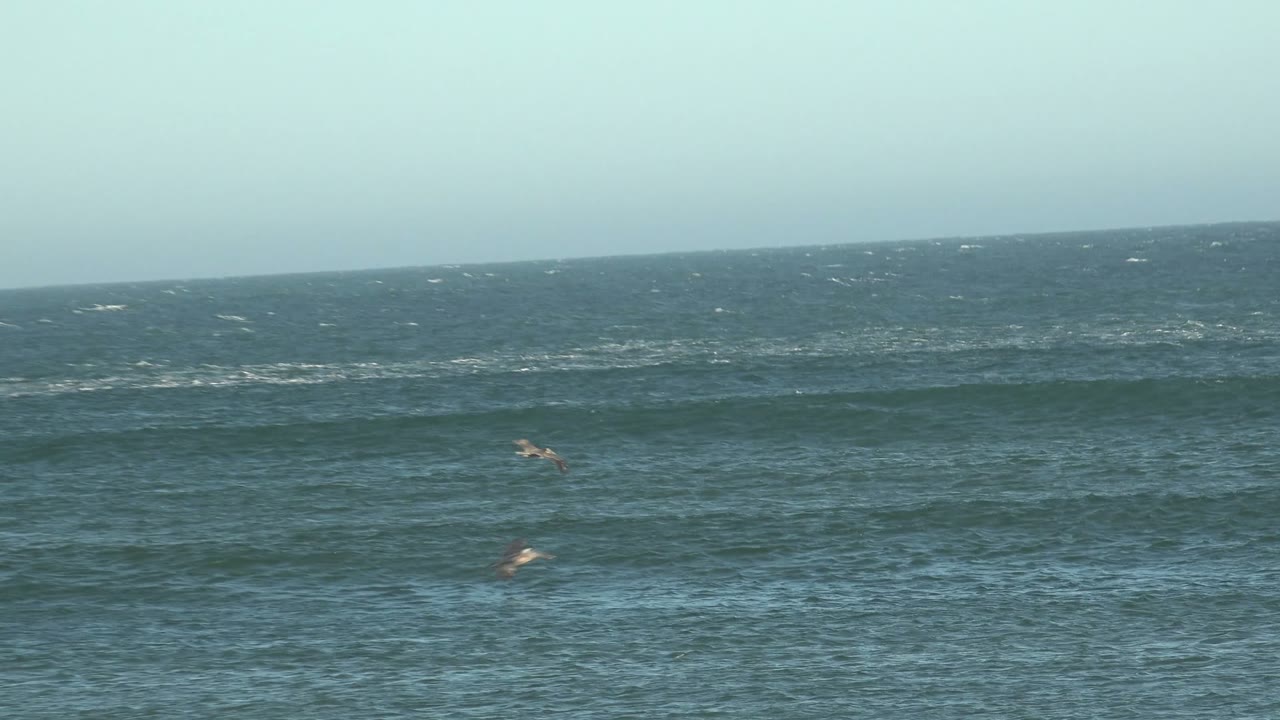 Pelicans fly low over blue-green waves in La Bocana, Baja California Sur, with a pale sky above the horizon and no visible people.