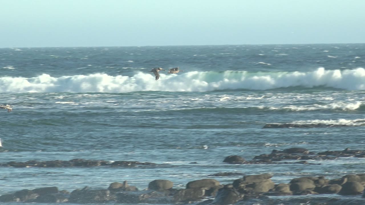 Seagulls fly over white ocean waves and dark coastal rocks at La Bocana, Baja California Sur, with no visible people.