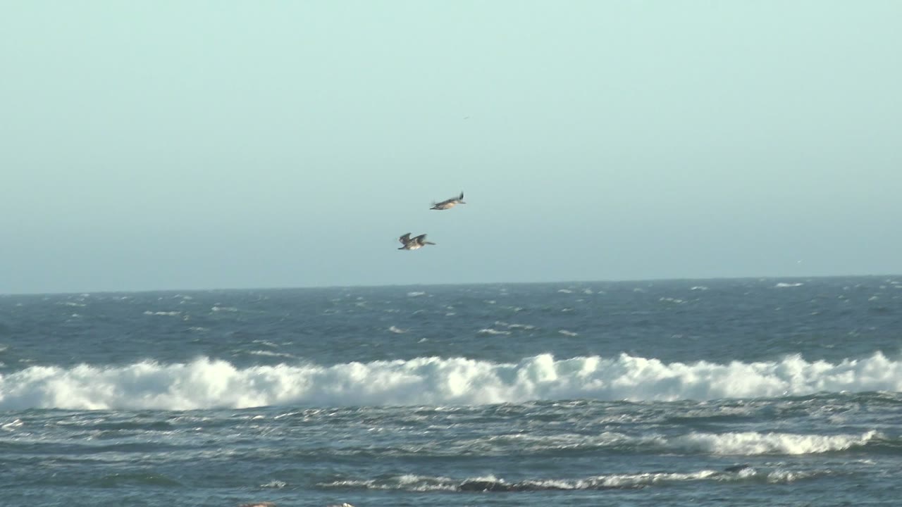 Distant seagulls appear near the horizon over layered whitecaps and dark blue water in La Bocana, with no visible people.