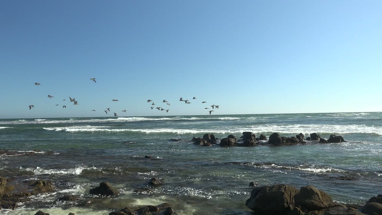 Seabirds fly across a clear blue sky above breaking ocean waves and dark shoreline rocks at La Bocana, Baja California Sur, with no visible people.