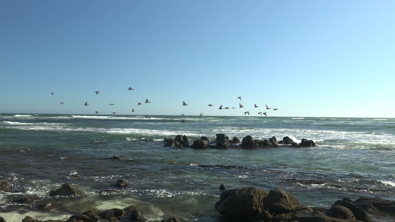Seabirds are scattered across the sky above choppy surf, exposed rocks, and a straight ocean horizon at La Bocana, Baja California Sur, with no visible people.