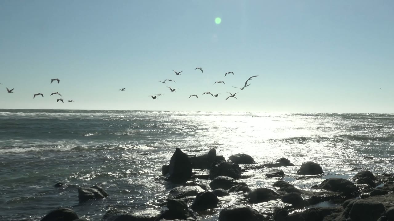 Several seagulls are scattered over the horizon as waves break behind dark rocks on the La Bocana coast, with no visible people.
