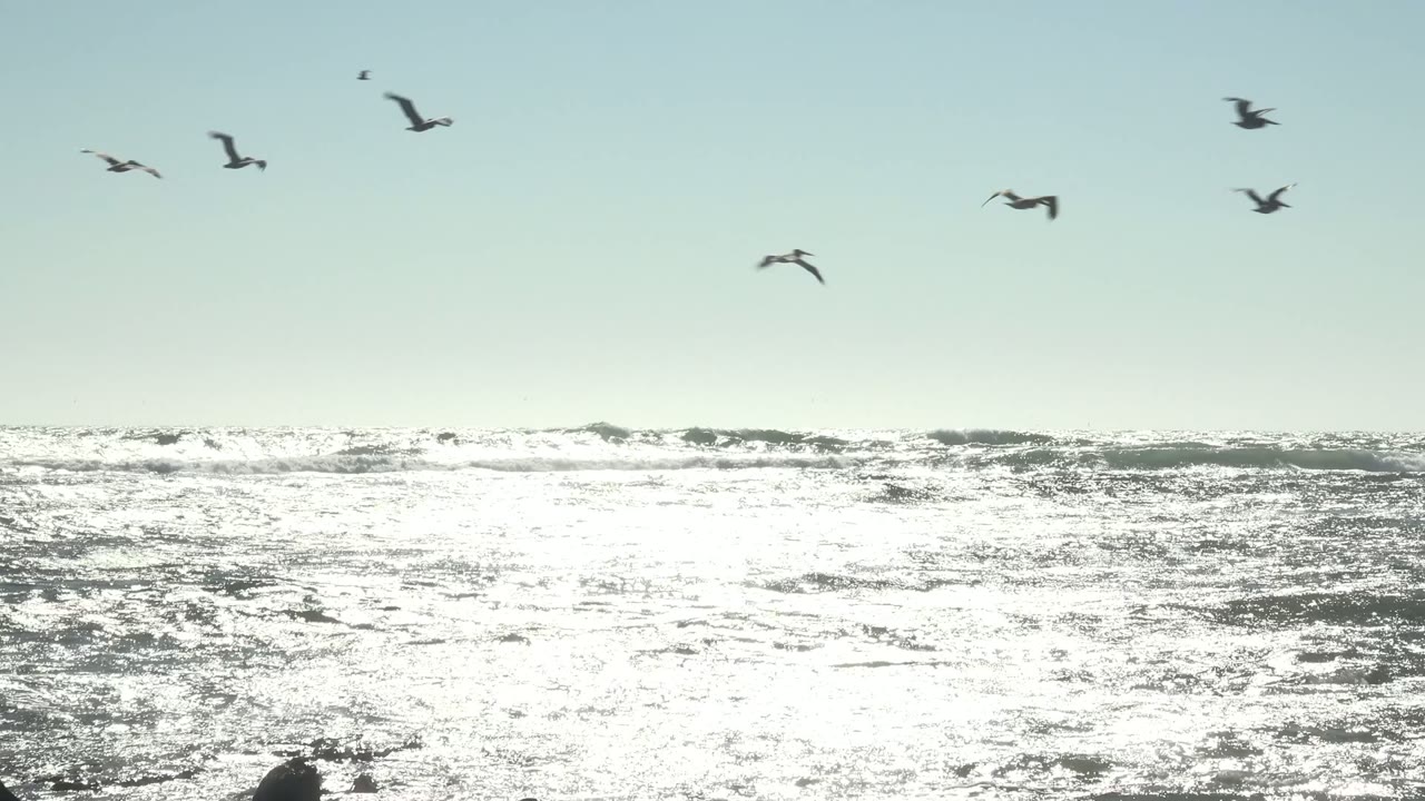 Seagulls cross the pale sky above sunlit ocean waves in La Bocana, Baja California Sur, with no visible people.