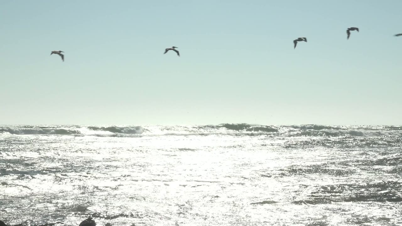 A smaller group of seagulls glides over a horizontal line of breaking waves in La Bocana, Baja California Sur, with no visible people.