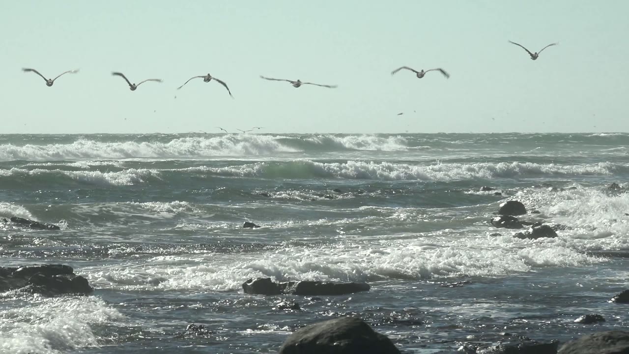 The La Bocana shoreline extends to the right with wet sand, scattered black rocks, breaking waves, distant landforms, and seagulls in the sky, with no visible people.