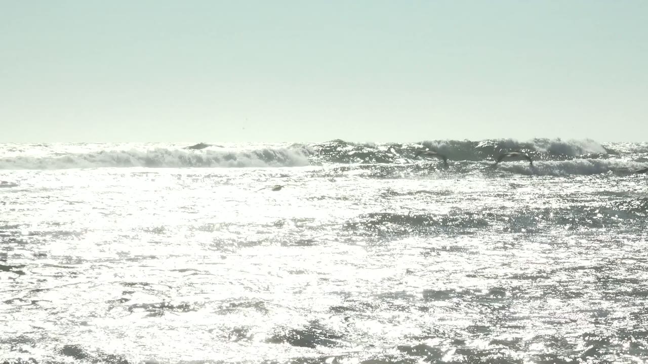 Bright reflected light covers the La Bocana ocean surface as whitecaps break near the horizon and a small seagull crosses the pale sky, with no visible people.