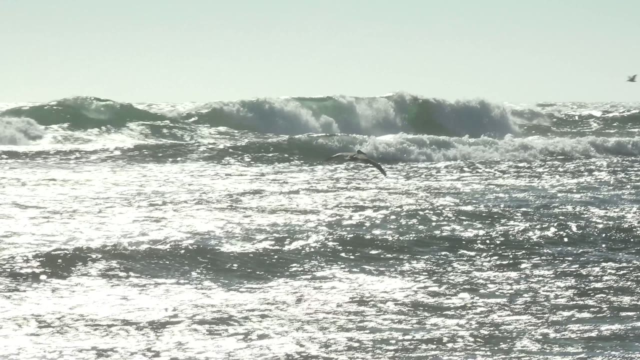 A larger wave breaks across the background at La Bocana as small seagulls move over the bright, rough ocean surface, with no visible people.