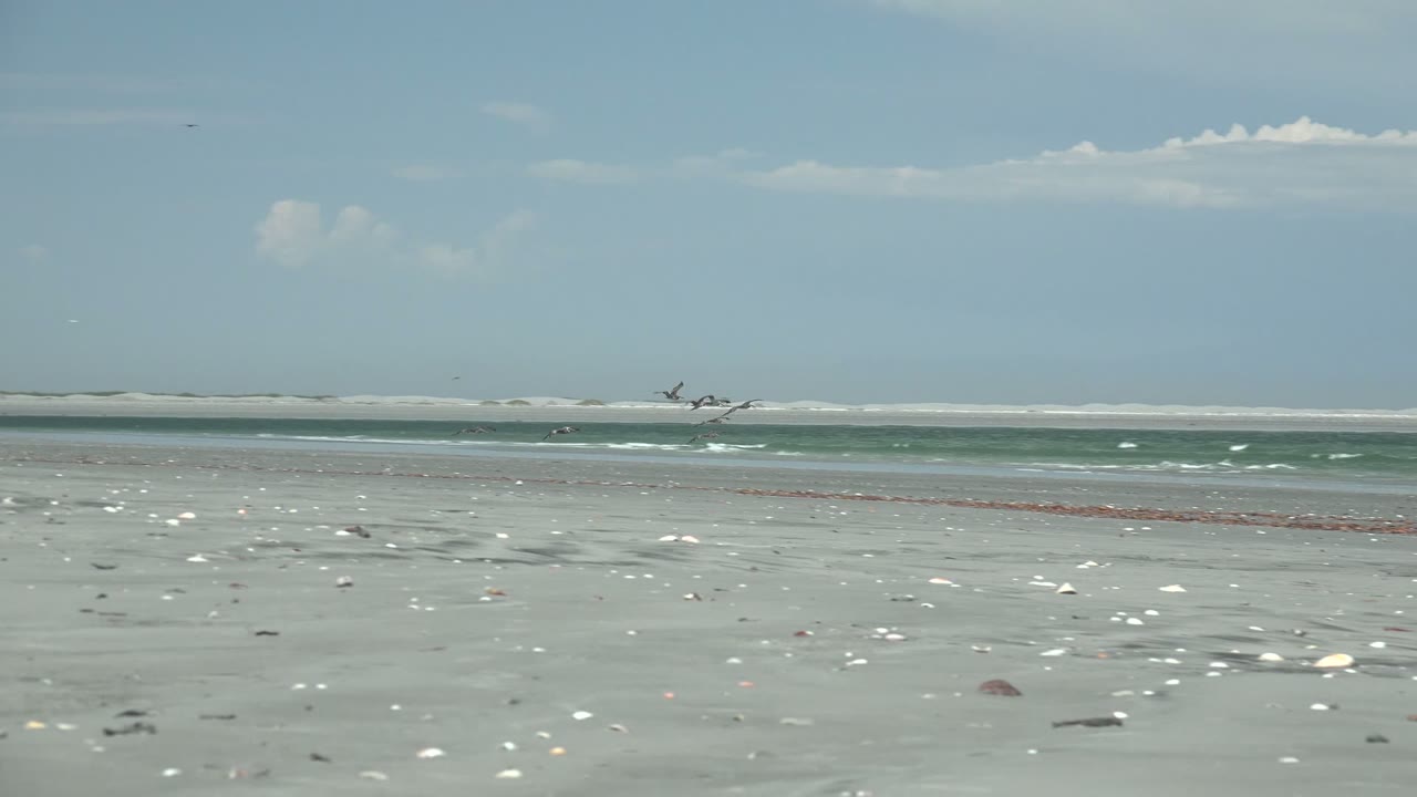 Shell-strewn sand leading to small waves and open sky.