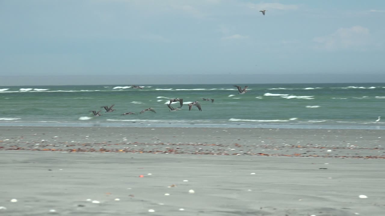 Wide view of birds flying over a sandy La Bocana beach with whitecaps on the green-blue ocean and no visible people.