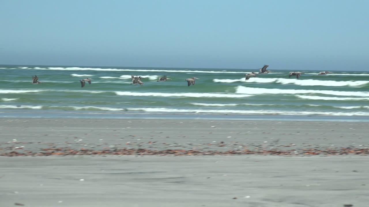 A flock of birds crosses above breaking waves and pale sand at La Bocana, Baja California Sur, with scattered beach debris and no visible people.