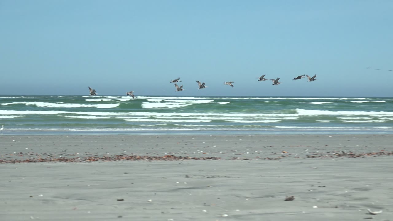 Several birds fly above layered green-blue waves while the foreground remains an empty sandy La Bocana beach with scattered shells and no visible people.