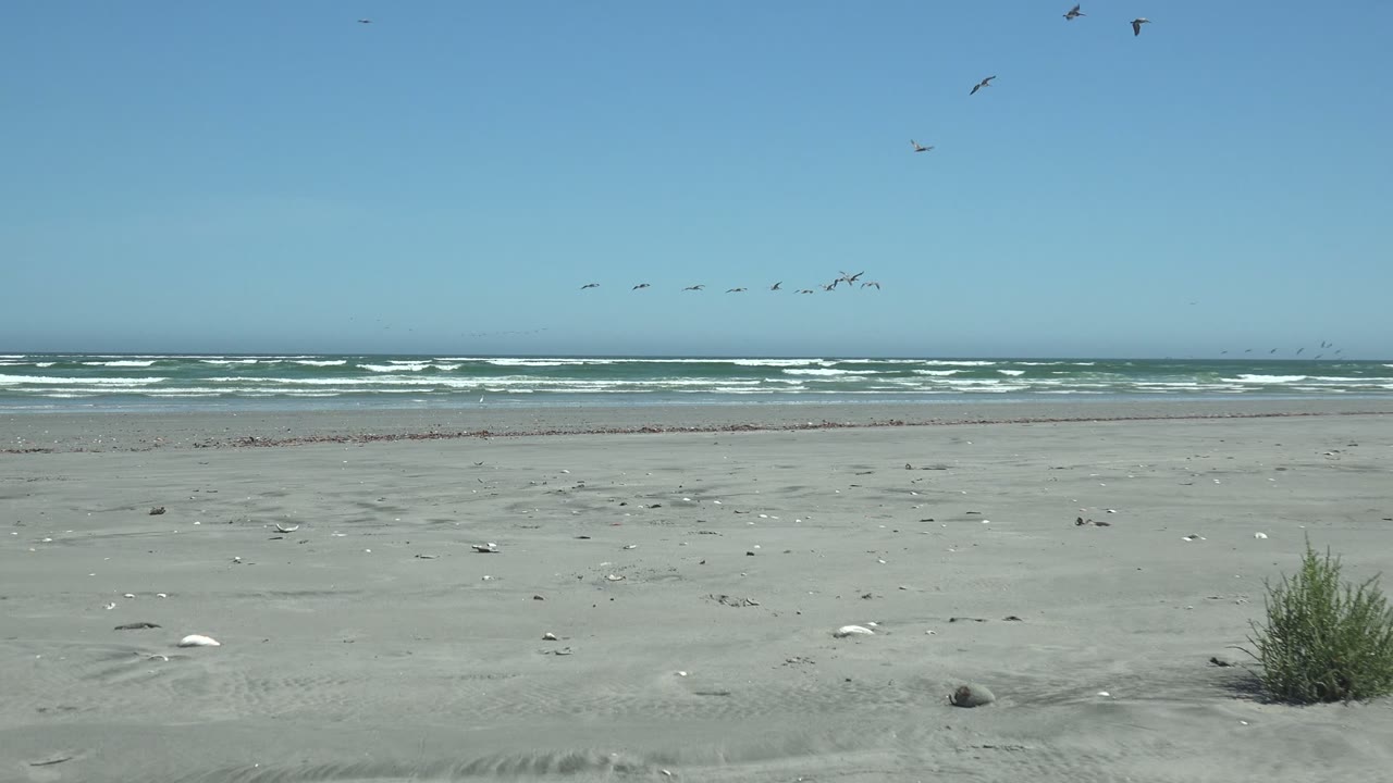 Wide view of La Bocana beach with flat sand in the foreground, low ocean waves on the horizon, scattered dune grass, seagulls in the blue sky, and no visible people.