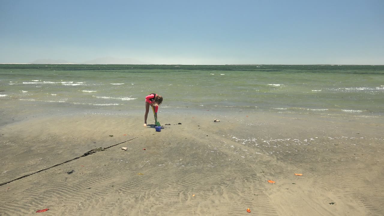 At 0:01 in San Carlos, the child stays bent over the blue bucket as the pale surf line sits farther behind on the wet sand.