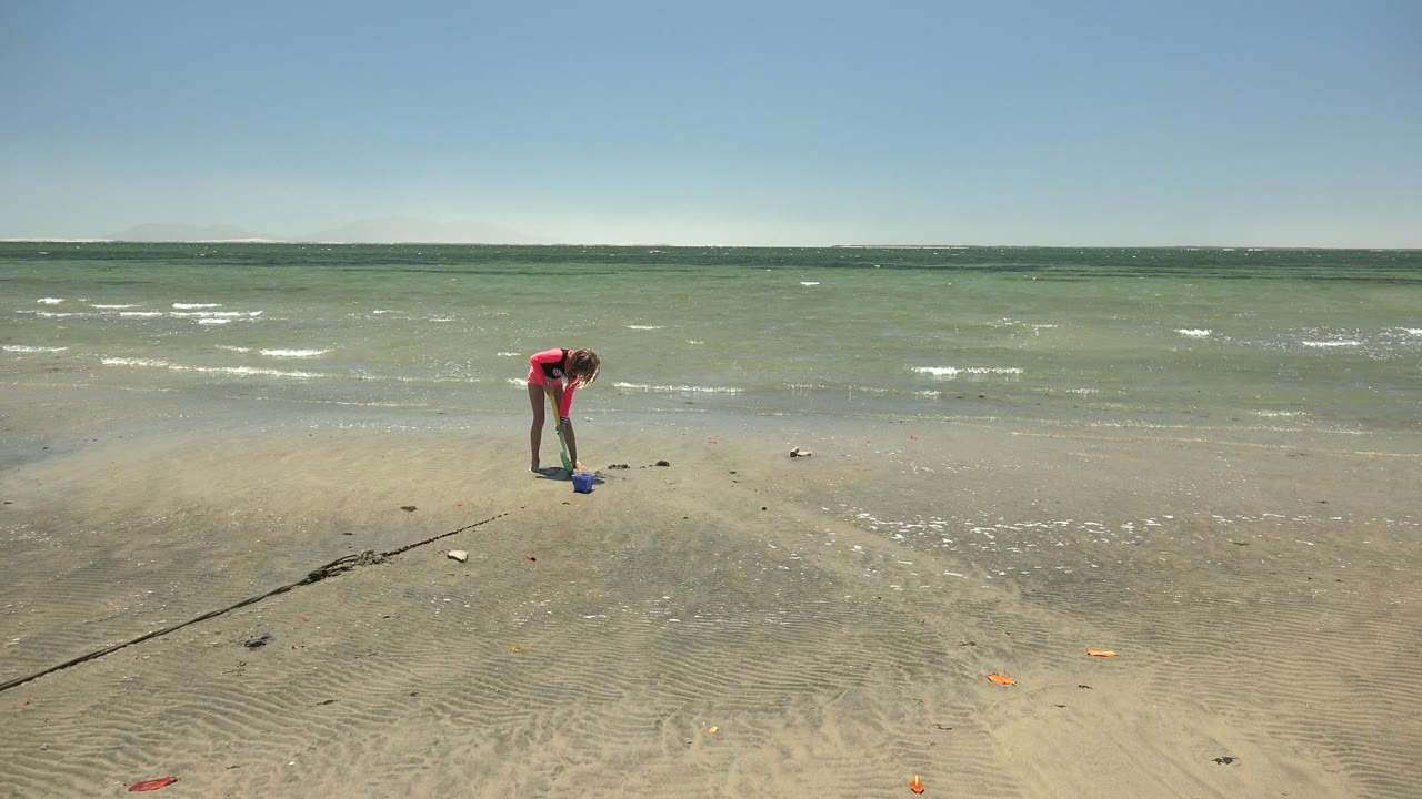 At 0:02 in San Carlos, the child leans over the blue bucket, with small scattered beach objects visible on the wet sand and low waves in the background.