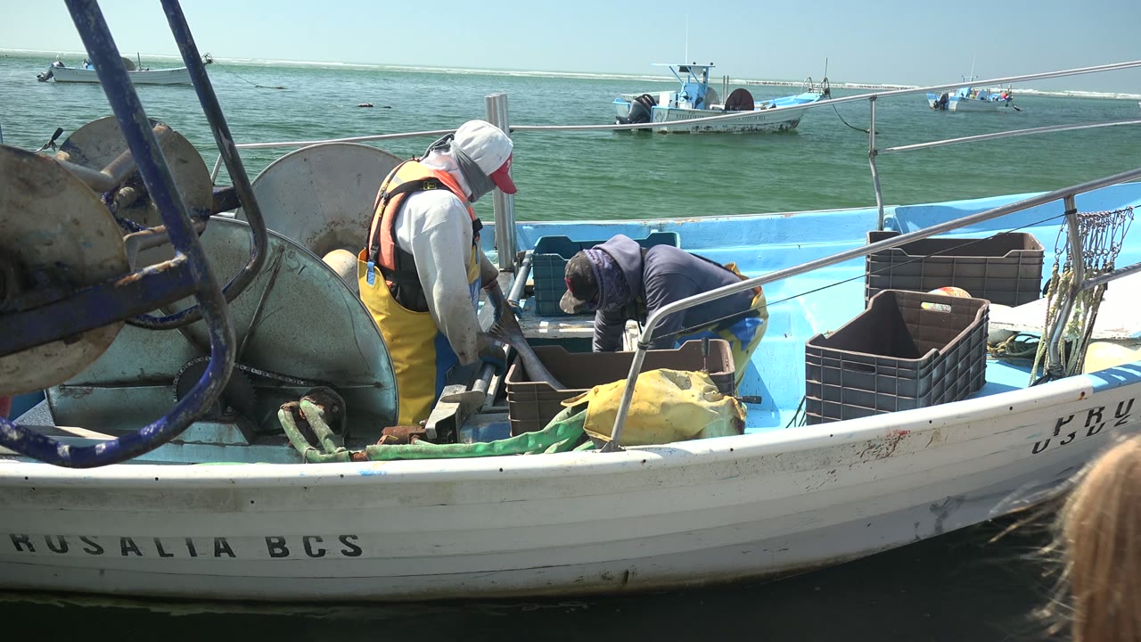 Fishermen bend over crates and equipment inside a small boat.